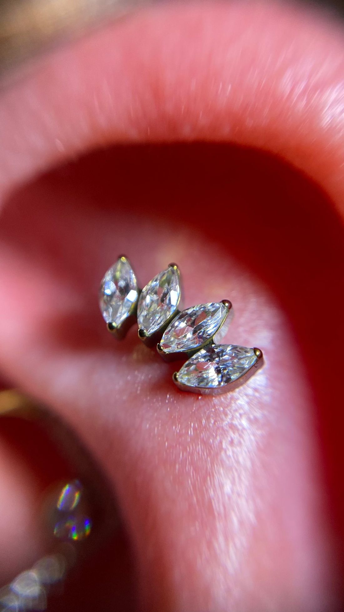Piercing de hélix con joyería de titanio